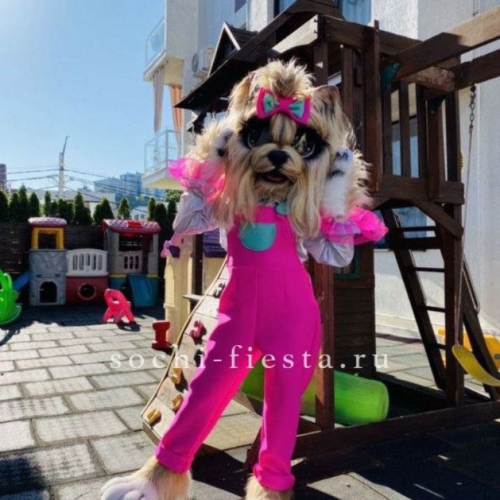 Аниматор Гламурная Собака в Курске