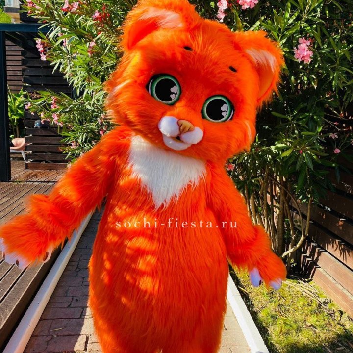 Аниматор Котик в Курске