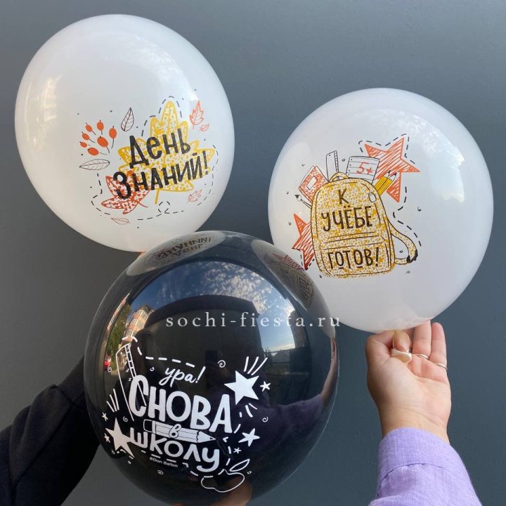 Воздушный шар к 1 сентября в Курске