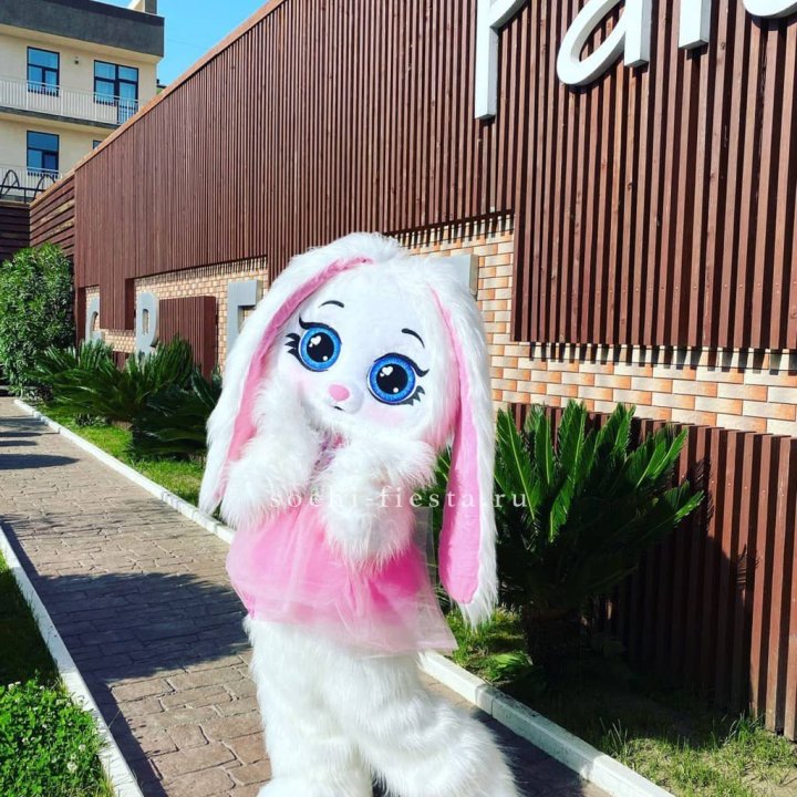 Аниматор Зайка в Курске