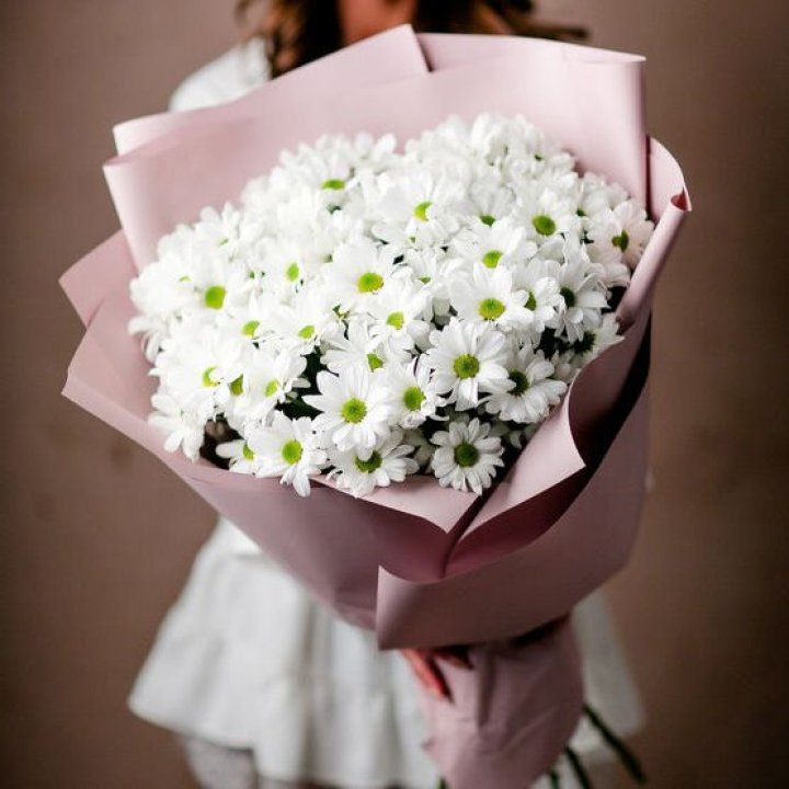 Букет хризантем №2 в Курске