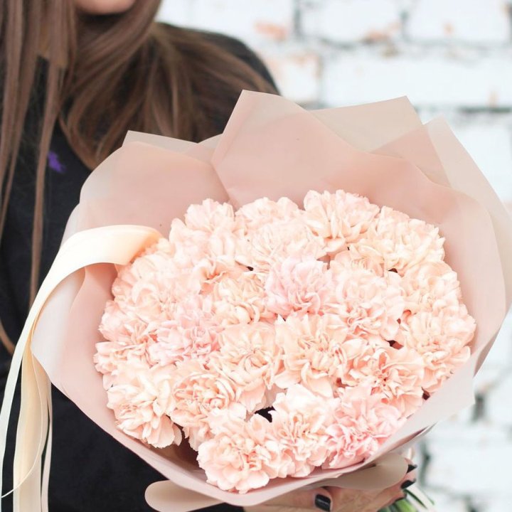 Диантусы №2 в Курске