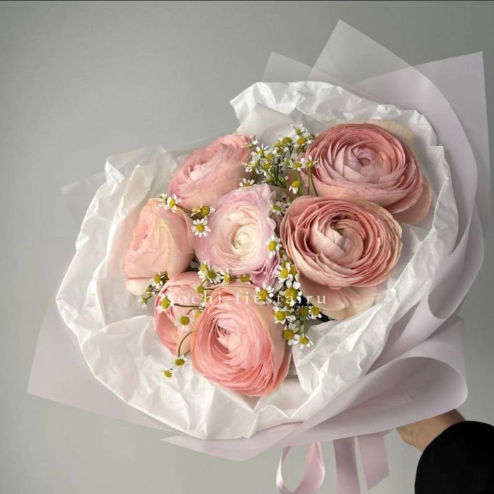 Ранункулюсы с ромашками в Курске