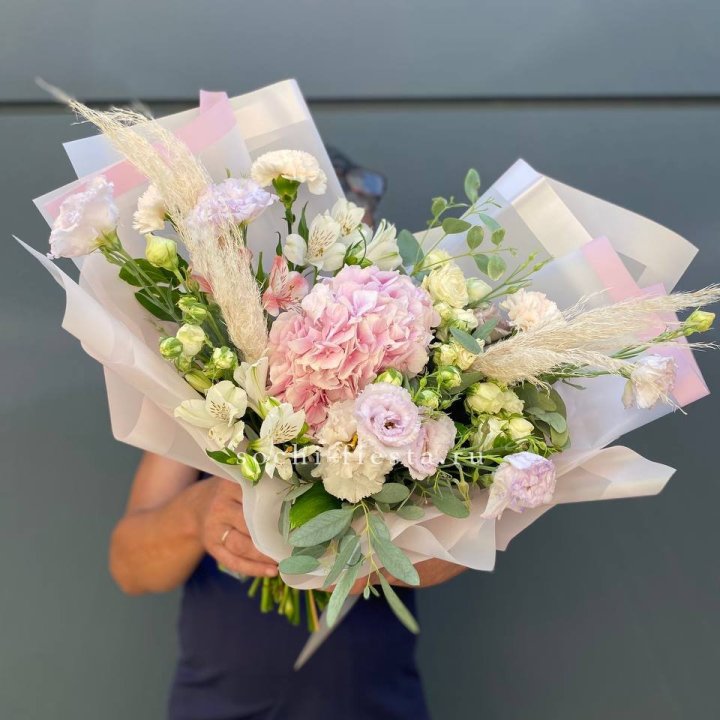 Гортензия "Пинк флоид" в Курске