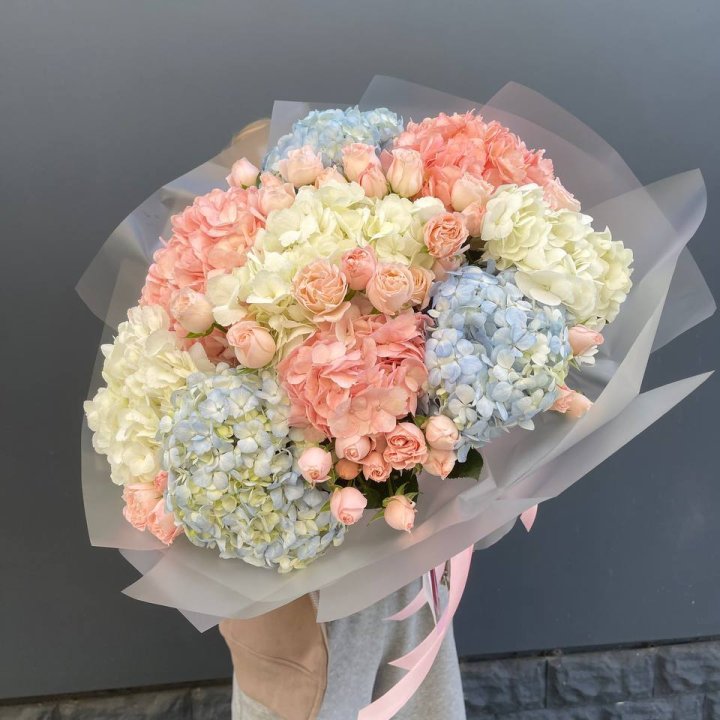 Дуо гортензии и бомбастик в Курске