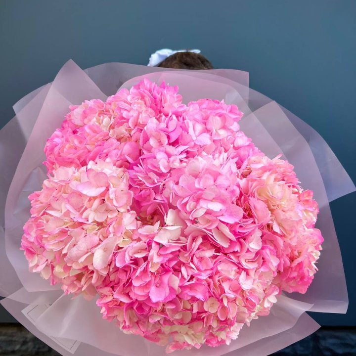 9 ярко розовых гортензий в Курске