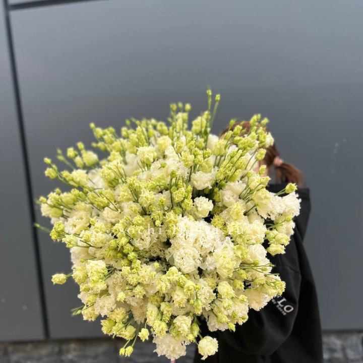 51 белая эустома в Курске