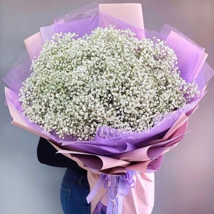 Облако белых гипсофил в Курске