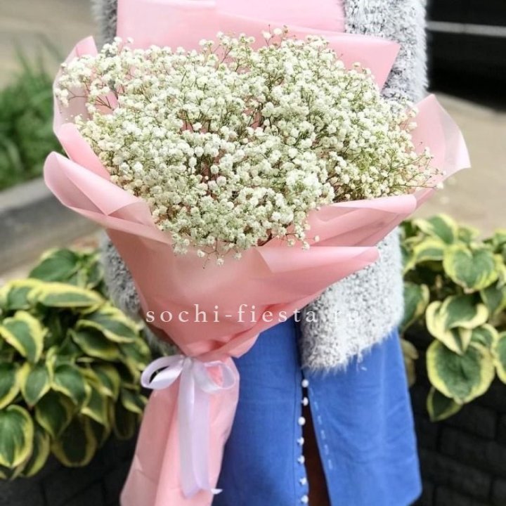 Белоснежные гипсофилы в Курске