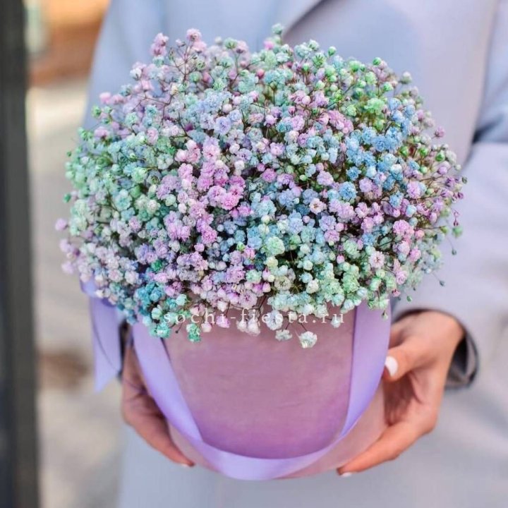 Гипсофилы в шляпной коробке "Кандилайт" в Курске