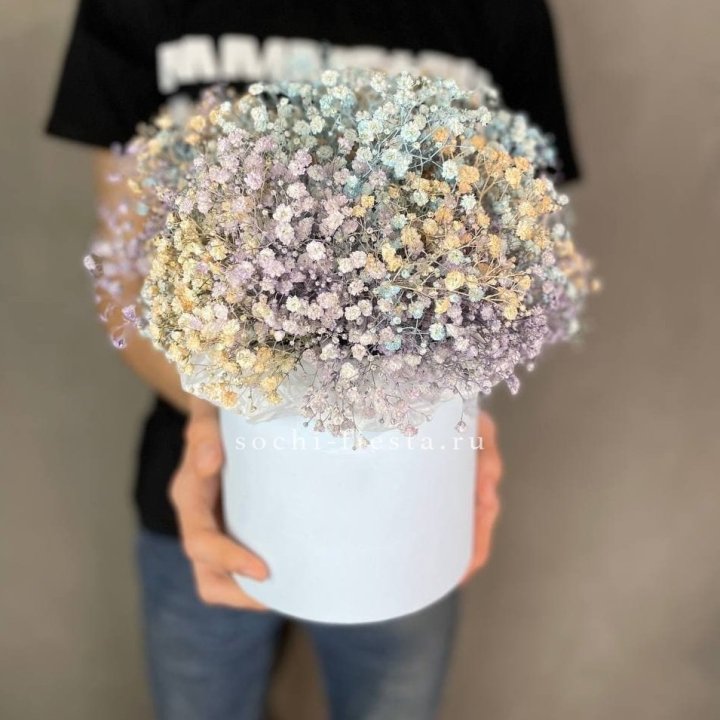 9 Радужных гипсофил в шляпной коробке в Курске