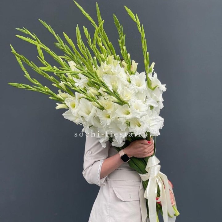 19 белых гладиолусов под ленту в Курске