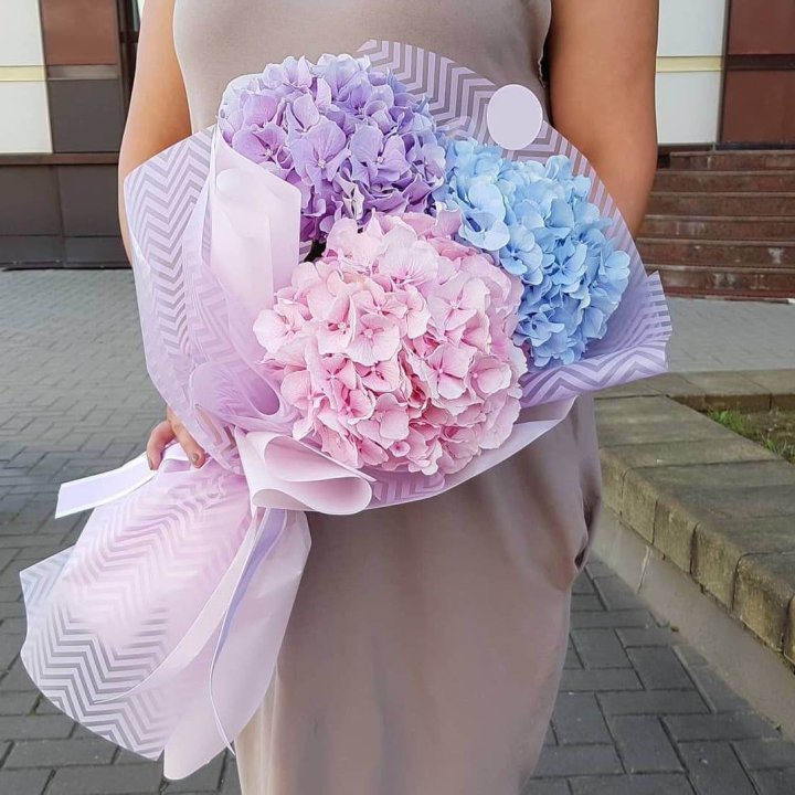 Букет гортензий "Пуф" в Курске