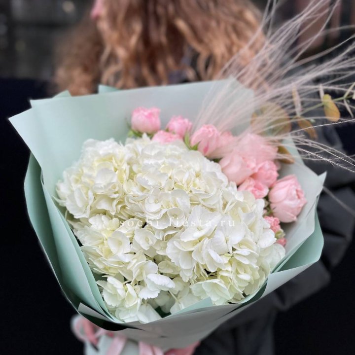 Гортензия "Жасмин" в Курске