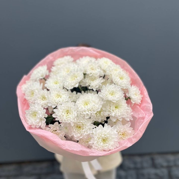  5 хризантем  в Курске