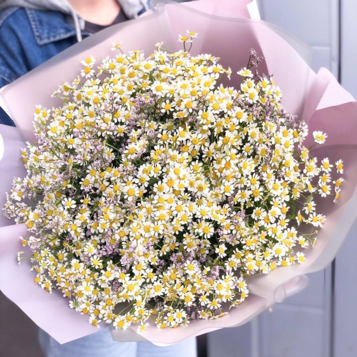 Букет ромашек №1 в Курске