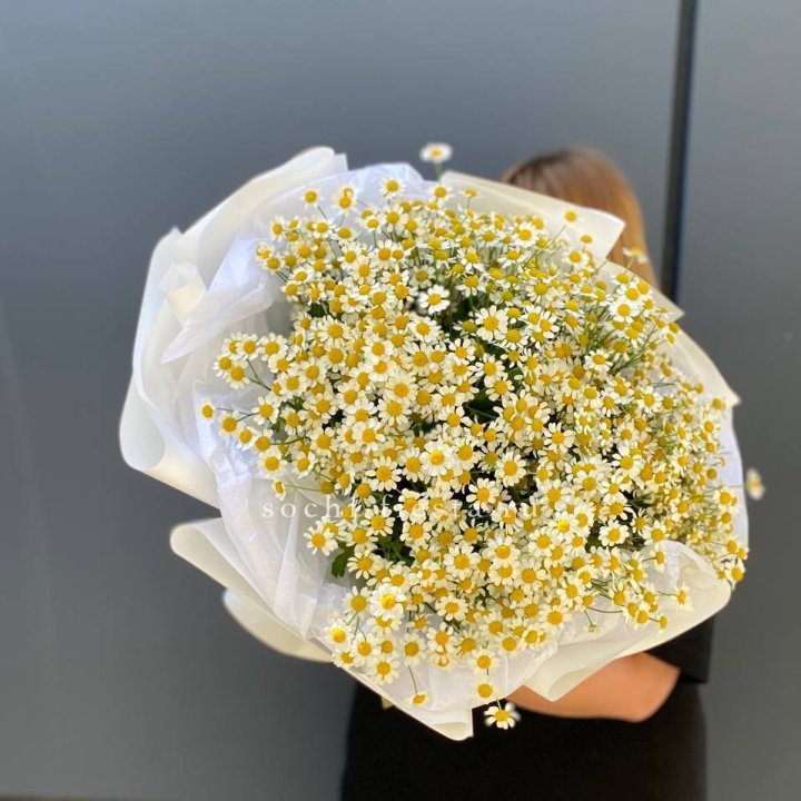 Букет ромашек "Фемели" в Курске