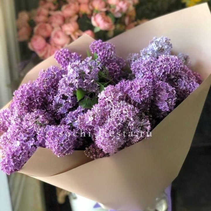 Букет сирени №2 в Курске