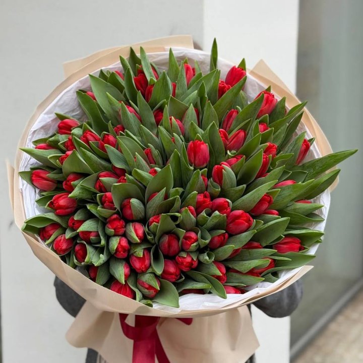 101 красный тюльпан в Курске