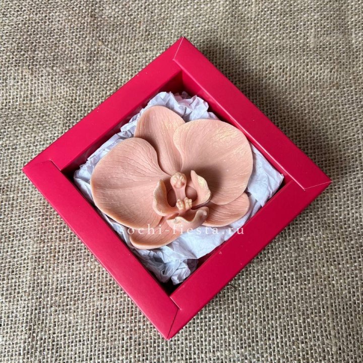 Бельгийский шоколад Орхидея в Курске