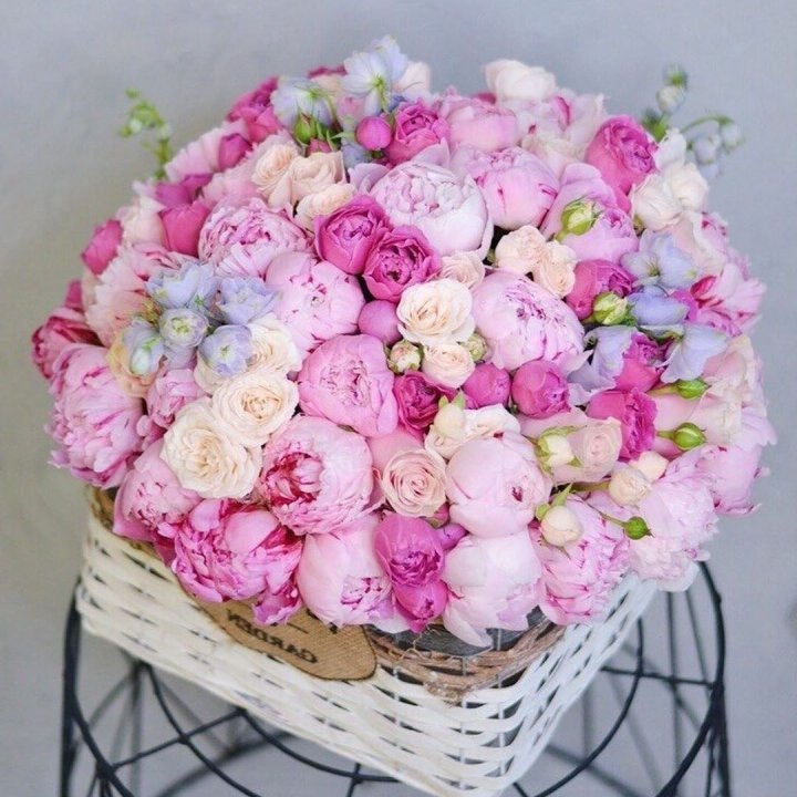 Композиция "Черри" в Курске