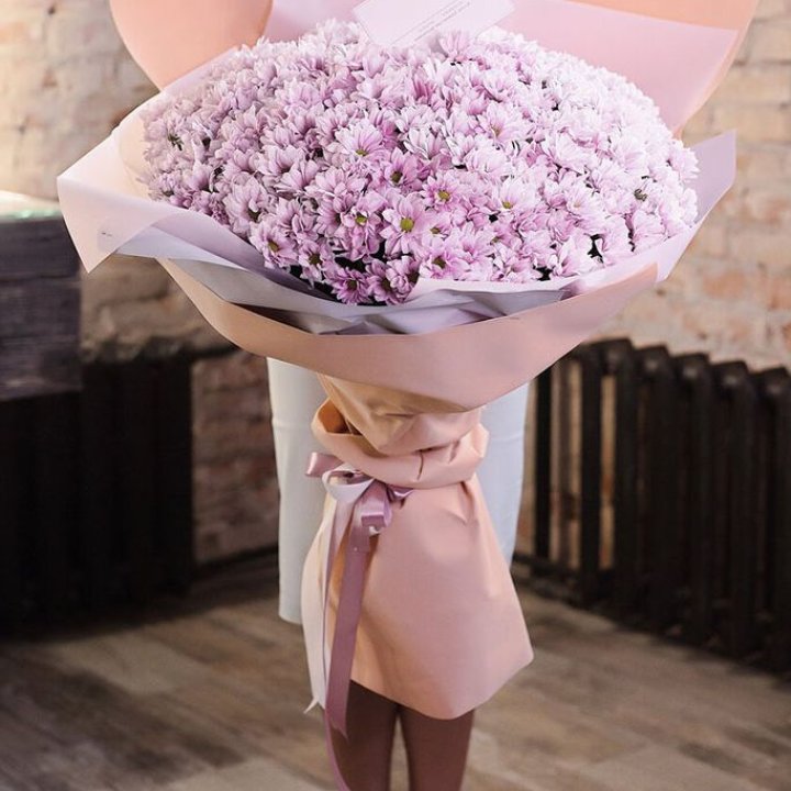 Облако хризантем №1 в Курске