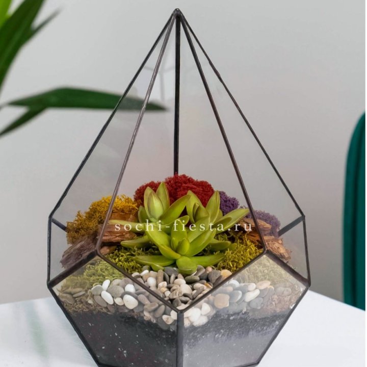 Флорариум Капля с суккулентом в Курске