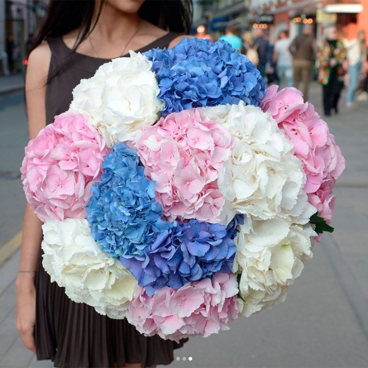 Букет гортензий "Инь-Янь" в Курске