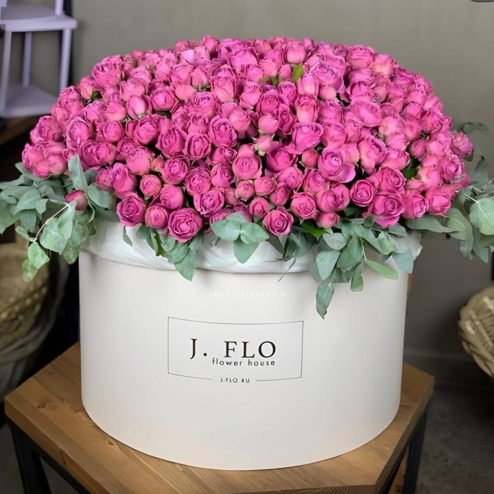 Цилиндр с Мисти Бабблс  в Курске