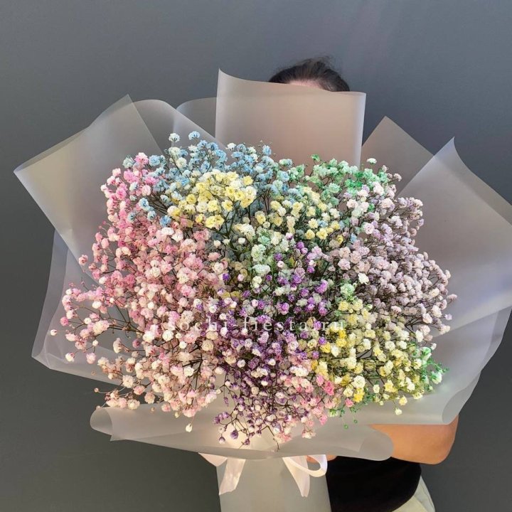 Радужные гипсофилы  в Курске