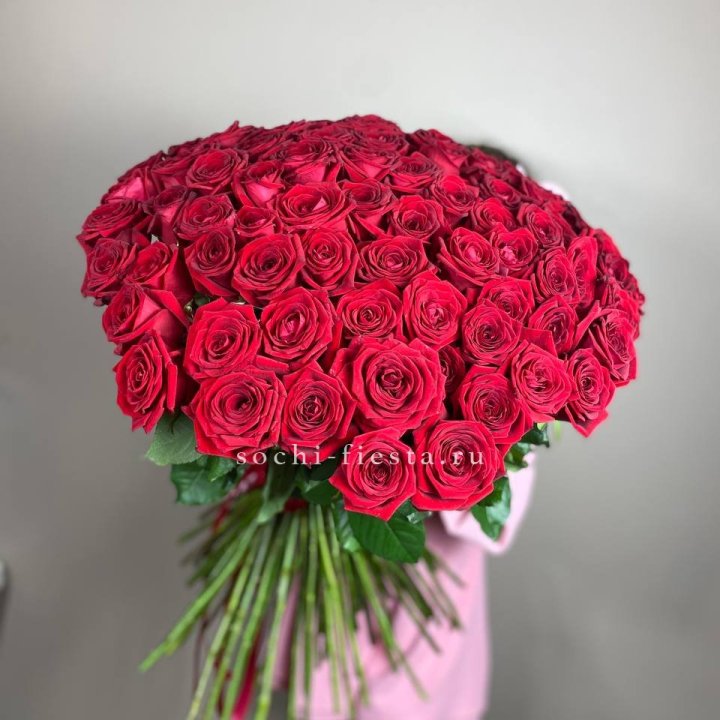 101  голландская роза  в Курске