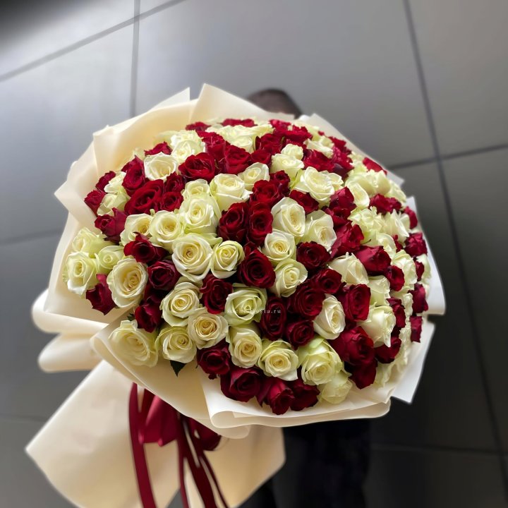 101 высокая импортная роза  в Курске