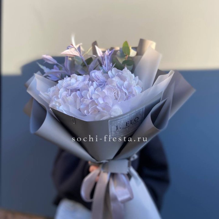 Гортензия "Виолета" в Курске