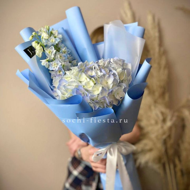 Гортензия "Блю скай" в Курске