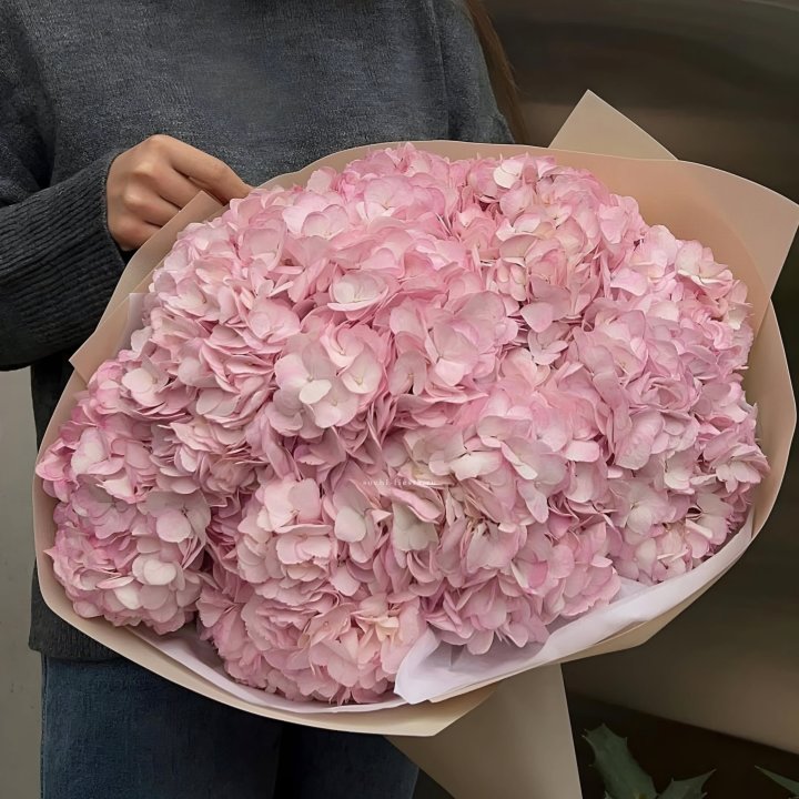 Гортензия  "РОЗЕ" в Курске