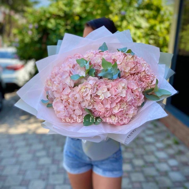 5 розовых гортензий  в Курске