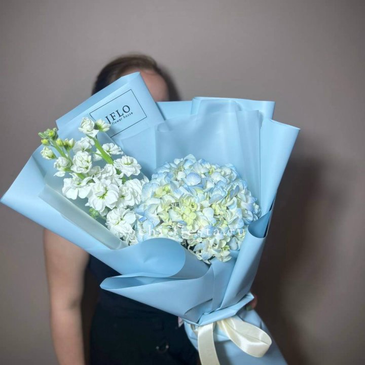 Гортензия голубая с маттиолой в Курске