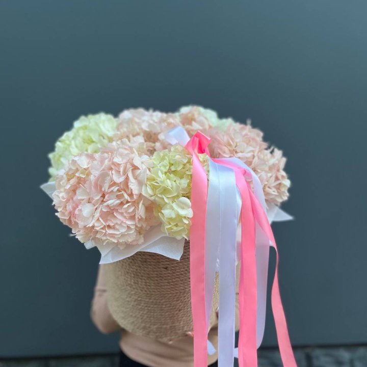 7 гортензий в кашпо в Курске