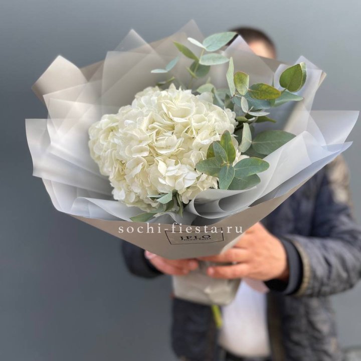  Букет  из белой гортензии в Курске