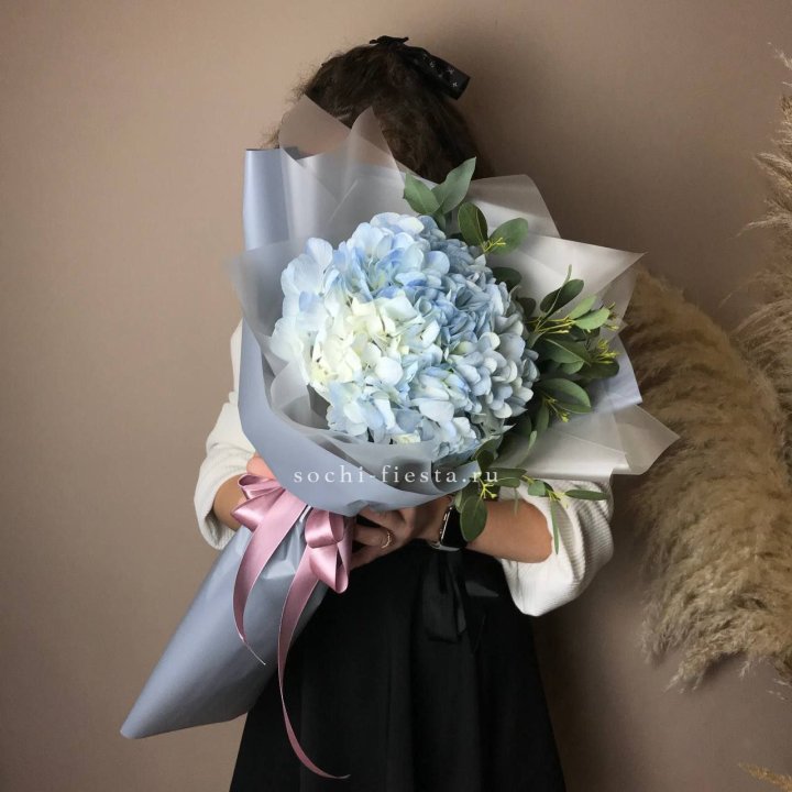 Гортензия Уно в Курске