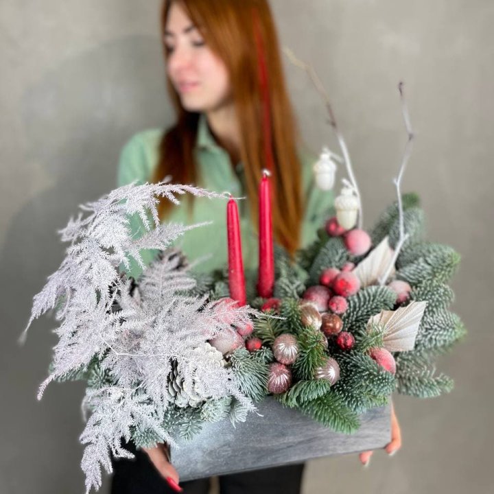 Бокс красный с нобилисом в Курске