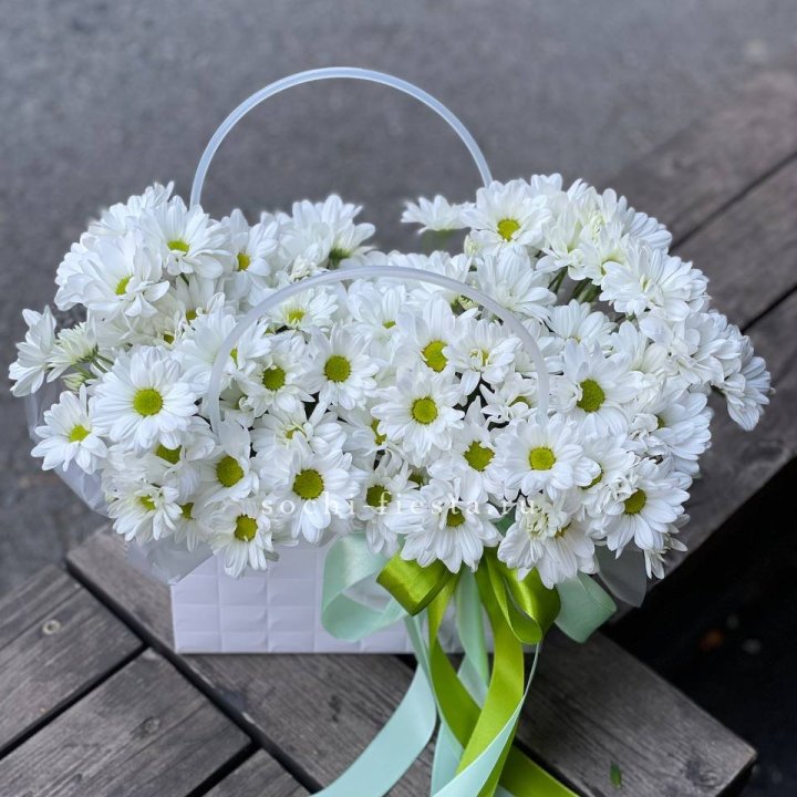 Сумка с хризантемами ромашками в Курске