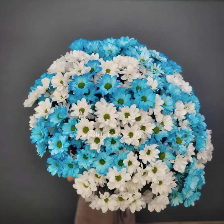  Букет хризантем микс в Курске