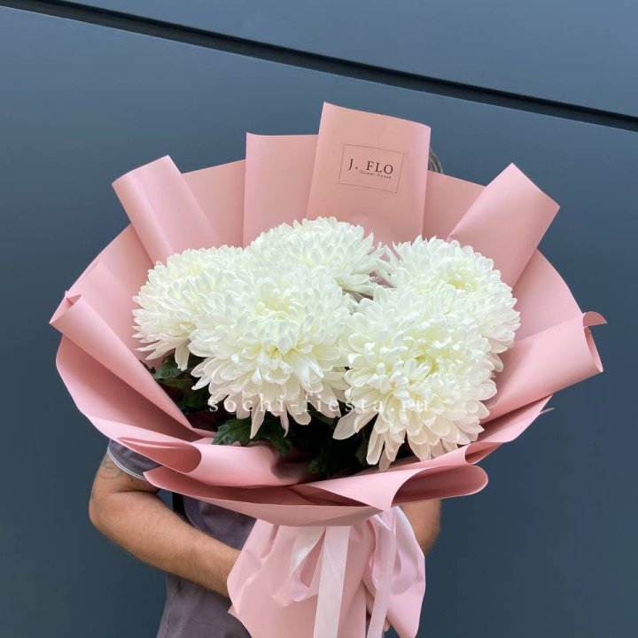 Профитроли №2 в Курске