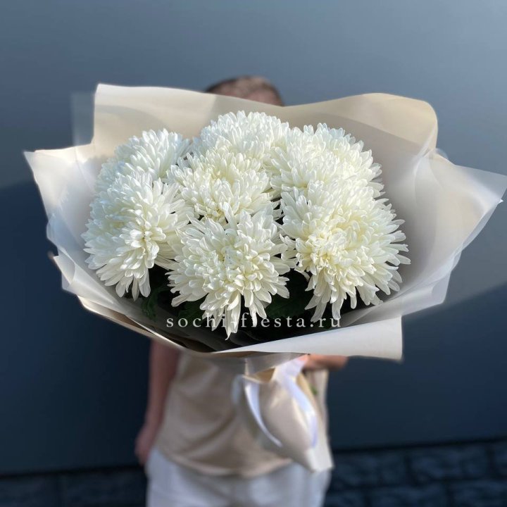 Профитроли в Курске