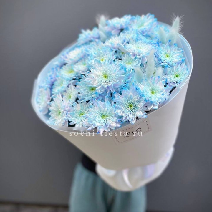  Букет нежно-голубых хризантем  в Курске