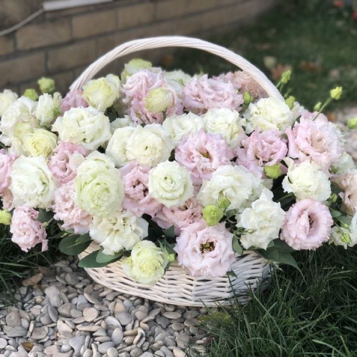 Корзина с эустомой в Курске