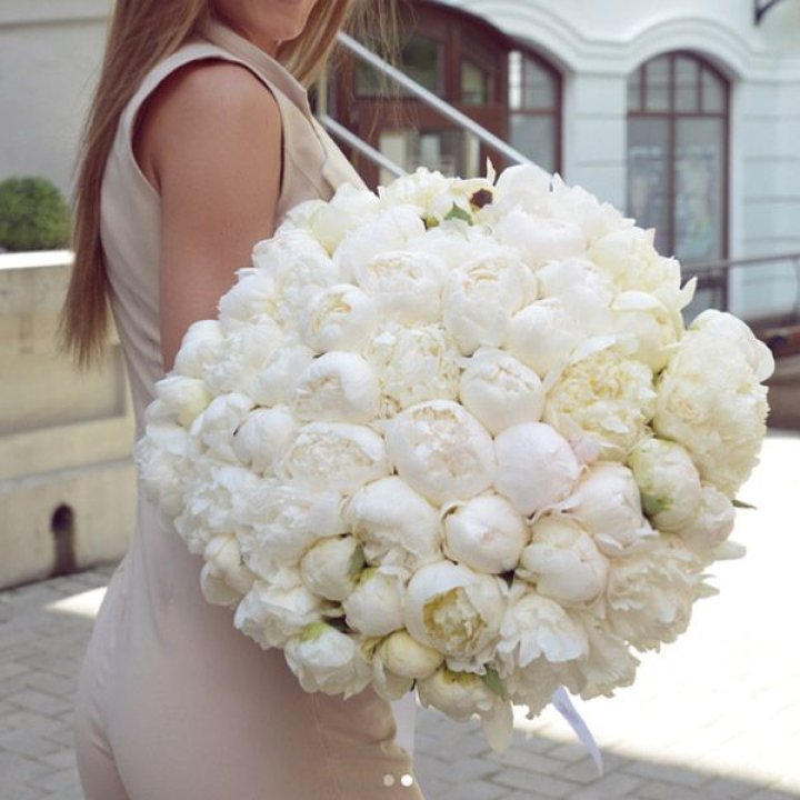 51 белый пион в Курске