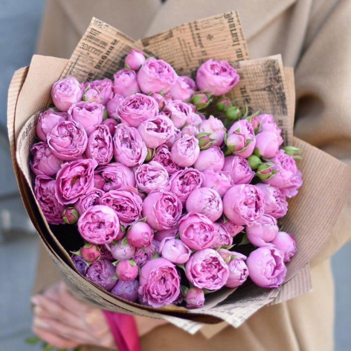 Роза Мисти Баблс в Курске