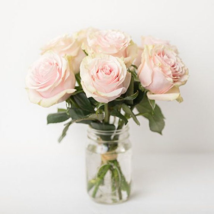 7 кремовых роз в Курске